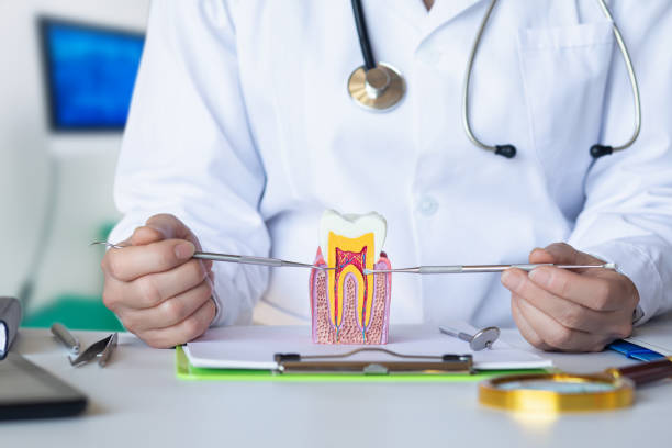 Best Pediatric Emergency Dentist in Old Saybrook Center, CT